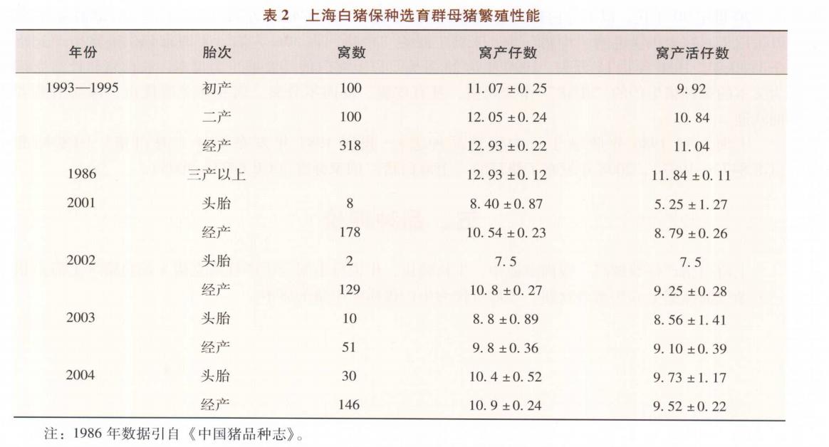 枫泾猪_枫泾猪_枫泾猪