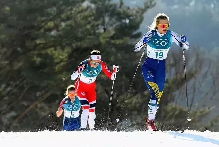 越野滑雪_越野滑雪海明威_越野滑雪小说深度解析